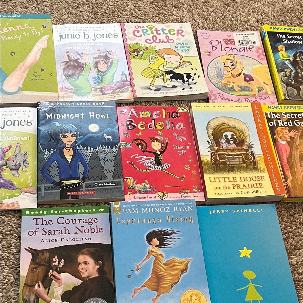 Children’s Book Lot – Early Readers to Chapter Books (14 Books)